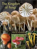 KNYGA Bookshop Kingdom of Fungi