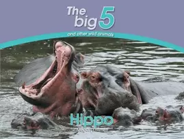 KNYGA Megan Emmett Hippo