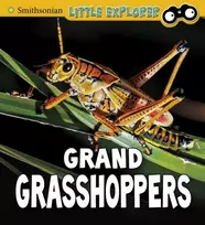 KNYGA Megan Cooley Peterson Grand Grasshoppers
