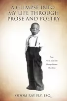 KNYGA Esq Odom Ray Fly Glimpse Into My Life Through Prose and Poetry