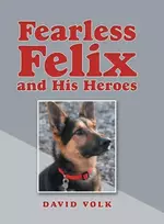 KNYGA David Volk Fearless Felix and His Heroes