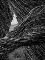 KNYGA Patrick Dougherty | James Florio: Sticks