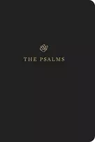 KNYGA Esv Bibles ESV Scripture Journal