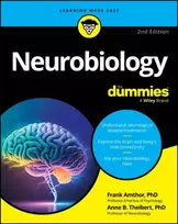 KNYGA Frank Amthor Neurobiology For Dummies