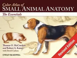 KNYGA Bookshop Color Atlas of Small Animal Anatomy