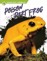 KNYGA Golriz Golkar Poison Dart Frog