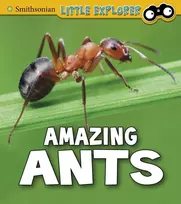 KNYGA Megan Cooley Peterson Amazing Ants