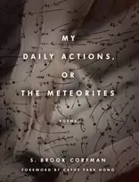 KNYGA S Brook Corfman My Daily Actions, or the Meteorites