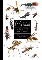 KNYGA Simon Van Noort Wasps of the World
