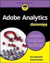 KNYGA David Karlins Adobe Analytics For Dummies
