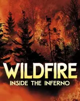 KNYGA Jaclyn Jaycox Wildfire, Inside the Inferno