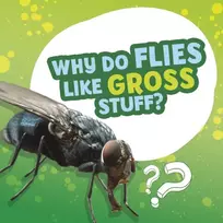 KNYGA Ellen Labrecque Why Do Flies Like Gross Stuff?