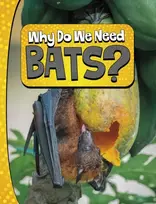 KNYGA Laura K Murray Why Do We Need Bats?