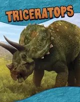 KNYGA Laura K Murray Triceratops