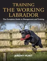 KNYGA Jeremy Hunt Training the Working Labrador