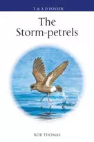 KNYGA Rob Thomas Storm-petrels