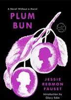KNYGA Jessie Redmon Fauset Plum Bun