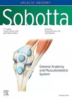 KNYGA Friedrich Paulsen Sobotta Atlas of Anatomy, Vol.1, 17th ed., English/Latin