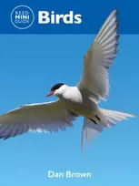 KNYGA Dan Brown Reed Mini Guide: Birds