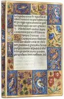 KNYGA paperblanks Spinola Hours (Ancient Illumination) Midi Unlined Softcover Flexi Journal