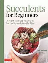 KNYGA Misa Matsuyama Succulents for Beginners