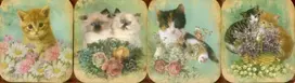 KNYGA Peony Press Staff Pocket Note Set of 4 Mini-pads: Vintage Kittens