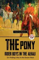 KNYGA Frank Gee Patchin Pony Rider Boys in the Alkali