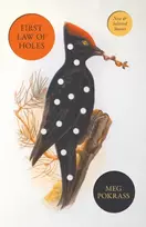 KNYGA Meg Pokrass First Law of Holes