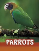 KNYGA Mari C Schuh Parrots