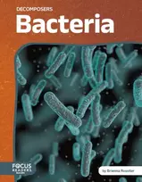 KNYGA Bookshop Bacteria