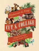 KNYGA Bookshop Cut & Collage Mushrooms and Fungi