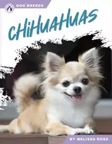 KNYGA Melissa Ross Chihuahuas