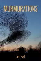 KNYGA Teri Hall Murmurations