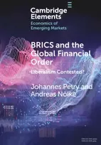 KNYGA Johannes Petry BRICS and the Global Financial Order
