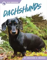 KNYGA Heather C Morris Dachshunds