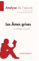 KNYGA Bookshop Les Ames grises de Philippe Claudel (Analyse de l'oeuvre)