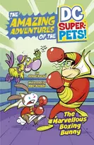 KNYGA Steve Korte Marvellous Boxing Bunny