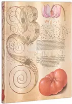 KNYGA paperblanks Lily & Tomato (Mira Botanica) Ultra Lined Journal