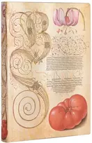 KNYGA paperblanks Lily & Tomato (Mira Botanica) Midi Lined Journal