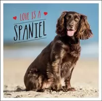 KNYGA Charlie Ellis Love is a Spaniel
