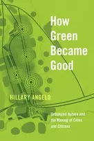 KNYGA Hillary Angelo How Žalias Became Good