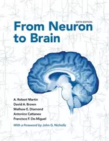 KNYGA A Robert Martin From Neuron to Brain