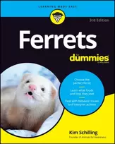 KNYGA Kim Schilling Ferrets For Dummies