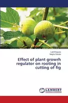 KNYGA Bookshop Effect of plant growrh regulator on rooting in cutting of fig
