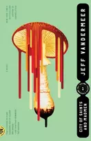 KNYGA Jeff Vandermeer City of Saints and Madmen