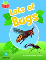 KNYGA Bookshop Bug Club Independent Phase 2 Unit 5: Lots of Bugs