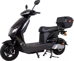 Electric Scooter W-TEC Raike II 10”