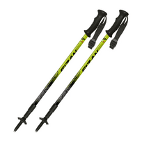 Fizan Explorer lime/grey ėjimo lazdos