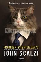 Pradedantysis piktadarys (knyga su defektais)