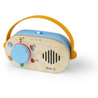 Baby Einstein Discovery Radio™ HAPE muzikinis žaislas 6m+ 1 vnt.